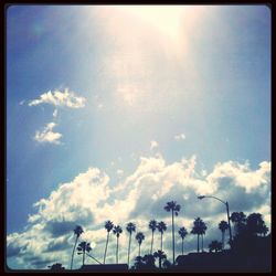 Low angle view of trees against sky