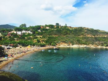 High angle view of trees by sea against sky