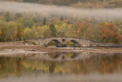 Arch bridge over lake against trees