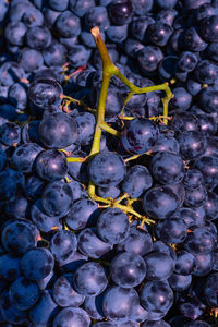 Full frame shot of grapes