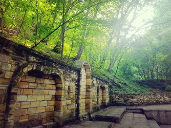 View of old building in forest