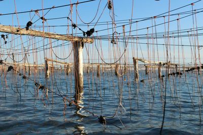 View of rope in calm sea