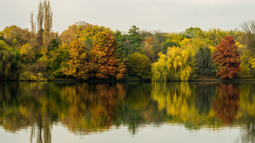 Scenic view of lake by trees against sky