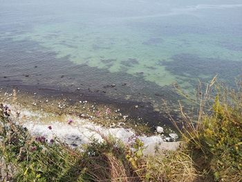 High angle view of water on beach