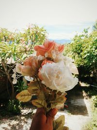 Close-up of hand holding rose bouquet