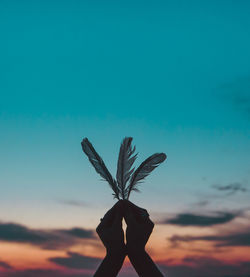 Cropped hands of woman holding feather against sky during sunset