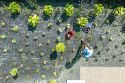 High angle view of people walking on street