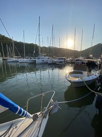 Sailboats moored in harbor