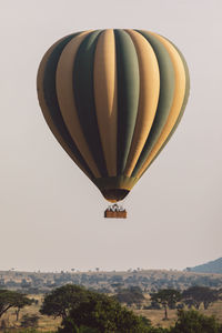 Hot air balloons flying against sky