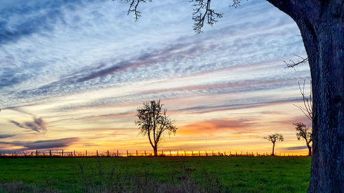 Scenic view of field against sky during sunset