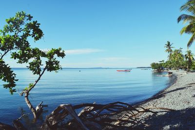 Scenic view of sea against blue sky