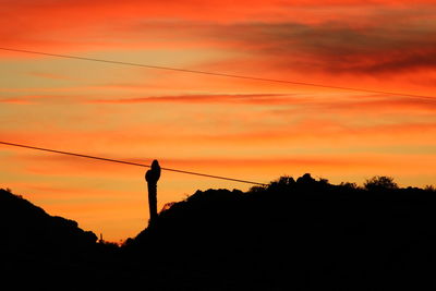 Low angle view of silhouette trees against sky at sunset