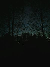 Bare trees against sky at night