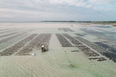 Scenic view of beach against sky