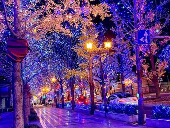 Illuminated christmas lights on street at night