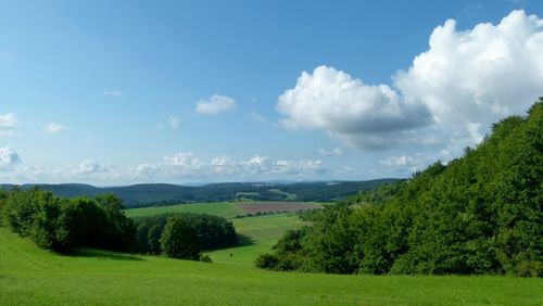 Scenic view of field against sky