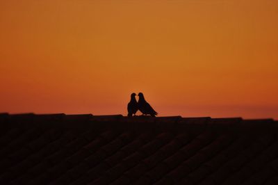 Silhouette pigeons perching on roof against sky during sunset