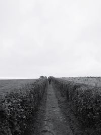 Footpath on field against sky