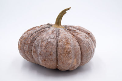 Close-up of pumpkin against white background