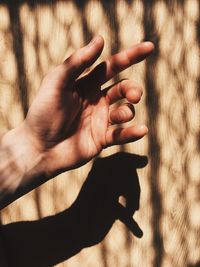Cropped image of hand looking through window