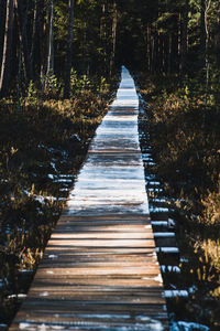 Wooden boardwalk leading towards trees in forest