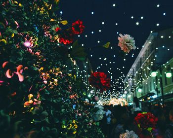 Low angle view of flowers against illuminated lighting decorations at night