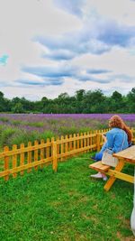 Rear view of woman sitting on bench in field against sky