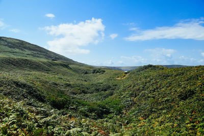 Scenic view of landscape against sky