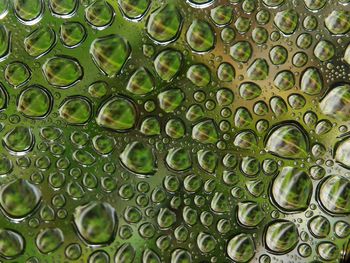 Full frame shot of water drops on leaf