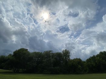 Trees on field against sky