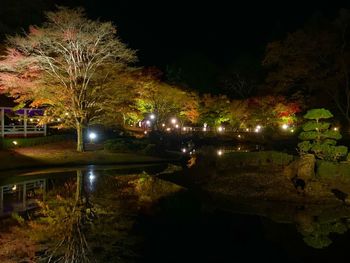 Illuminated trees by pond at night