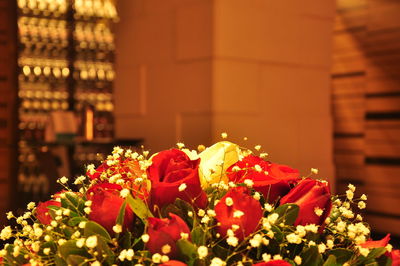 Close-up of red flowering plant against building