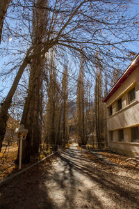 Road amidst bare trees and buildings against sky