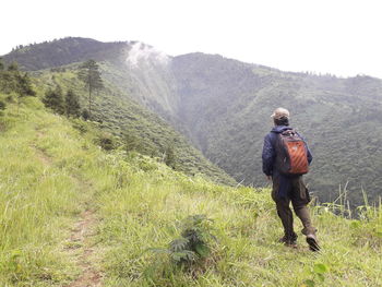 Rear view of man climbing on mountain