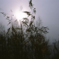 Scenic view of landscape against sky at sunset