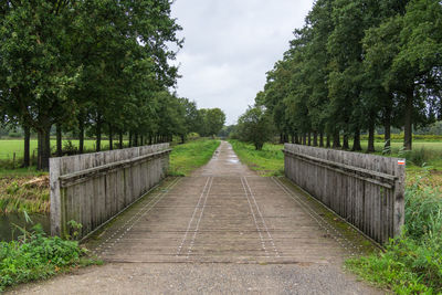 Empty footpath amidst trees against sky