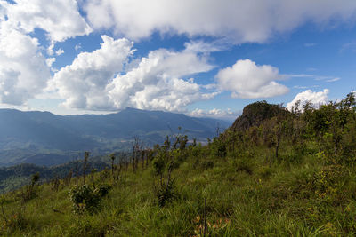 Scenic view of landscape against sky