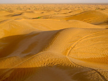 Sand dunes in desert