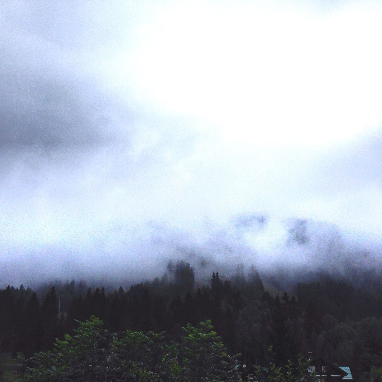 sky, tranquility, tranquil scene, scenics, fog, beauty in nature, weather, nature, mountain, landscape, tree, cloud - sky, foggy, cloudy, non-urban scene, overcast, idyllic, day, outdoors, no people