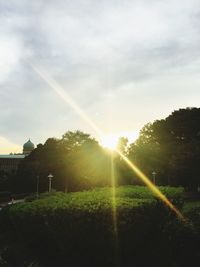 Sun shining over trees and vapor trail in sky