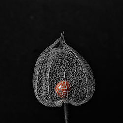 Close-up of illuminated lighting equipment against black background