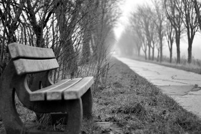 Empty bench in park