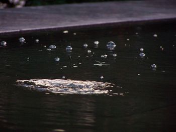 Close-up of water in water