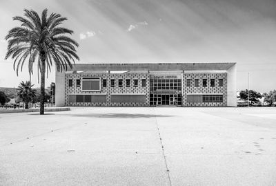 Palm trees and building against sky