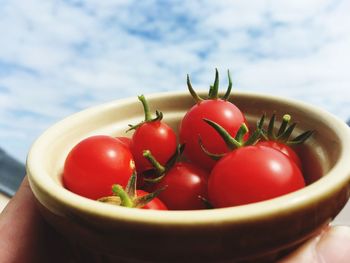 Close-up of tomatoes in bowl