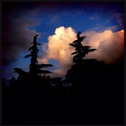 Low angle view of silhouette trees against cloudy sky