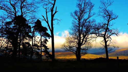 Silhouette trees on landscape against sky