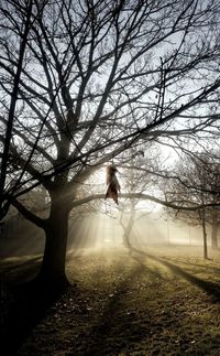 Silhouette woman standing on field by bare trees
