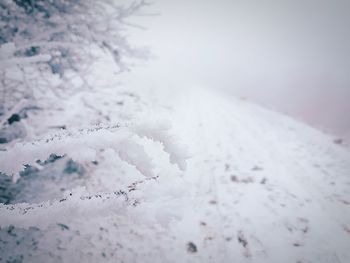 Close-up of snow