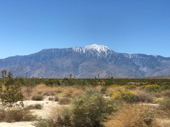 Scenic view of snowcapped mountains against clear blue sky